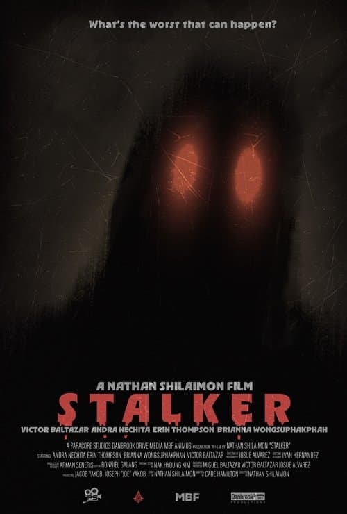 STALKERのポスター