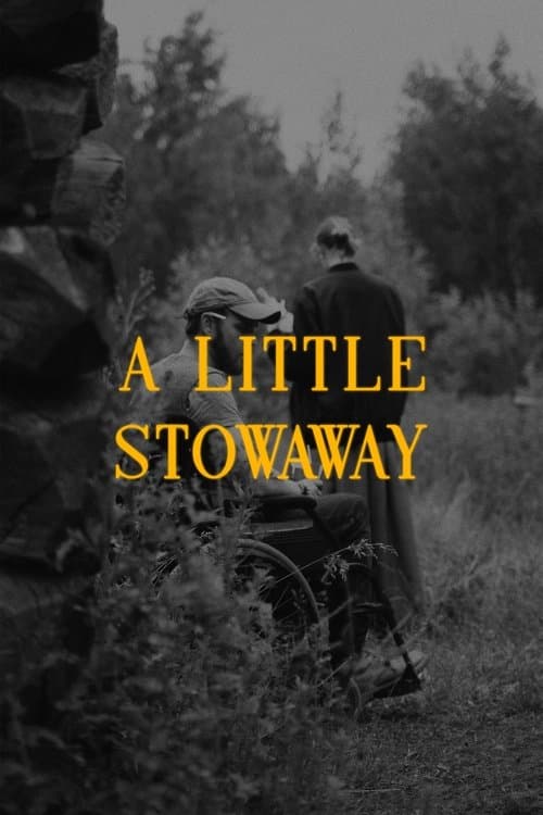 A Little Stowawayのポスター