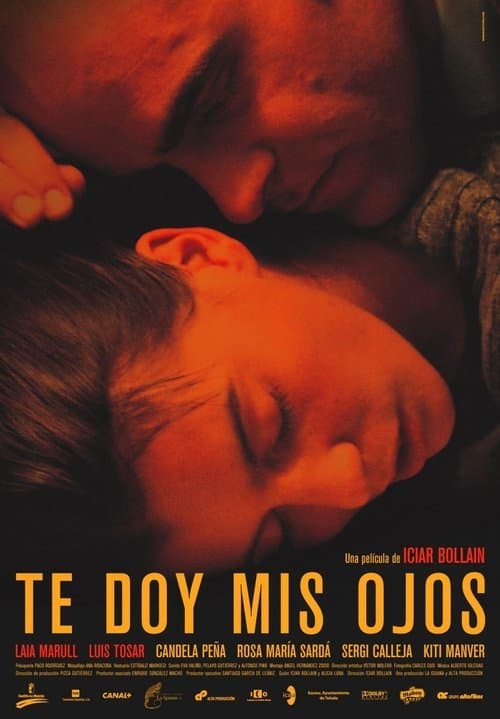 Te doy mis ojosのポスター