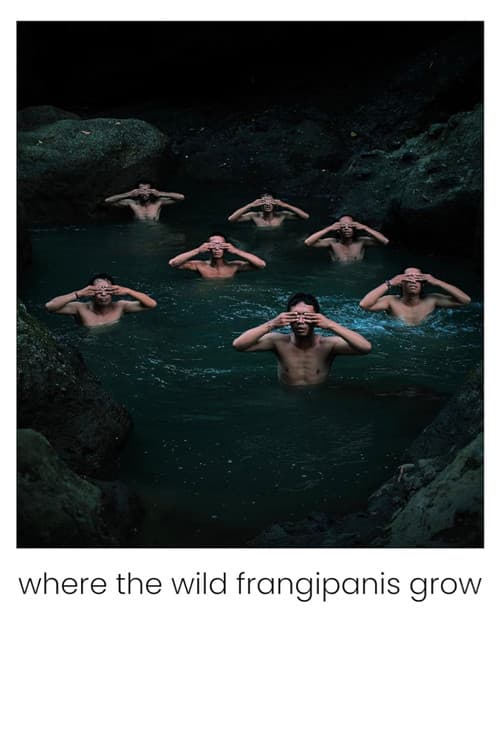 Where the Wild Frangipanis Growのポスター