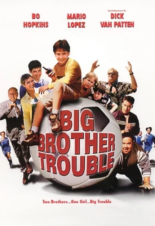 Big Brother Troubleのポスター