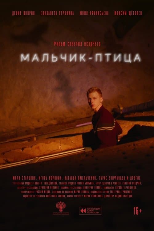 Мальчик-птицаのポスター