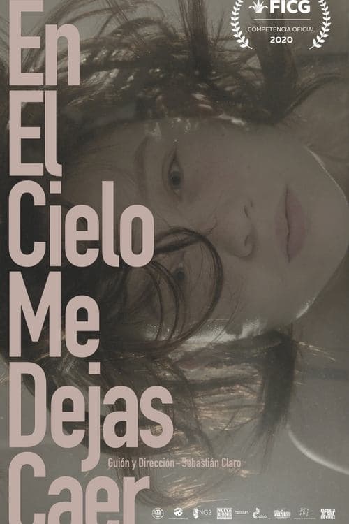 En el cielo me dejas caerのポスター