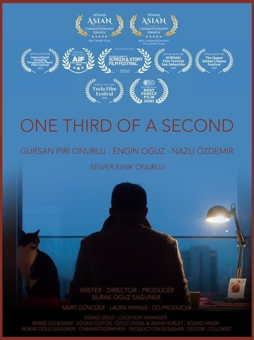 Saniyenin Üçte Biriのポスター