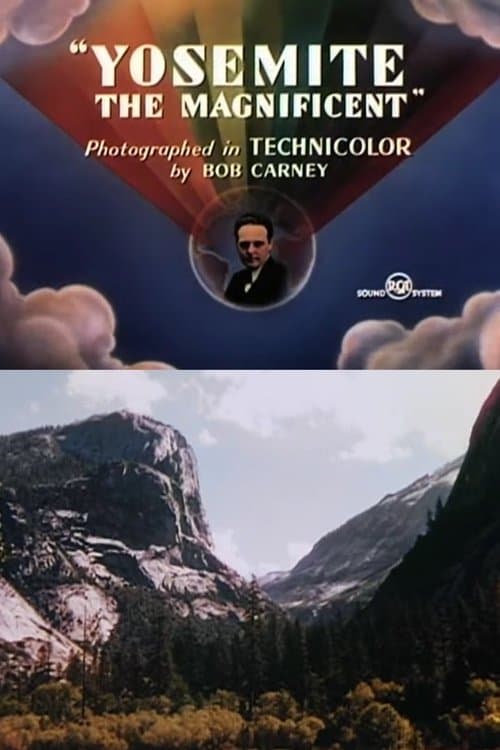 Yosemite the Magnificentのポスター