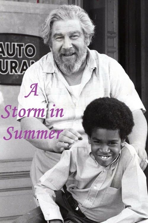 A Storm in Summerのポスター