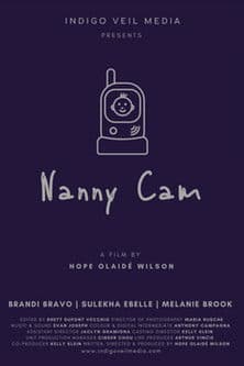 Nanny Camのポスター