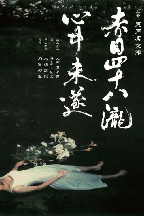 赤目四十八瀧心中未遂のポスター