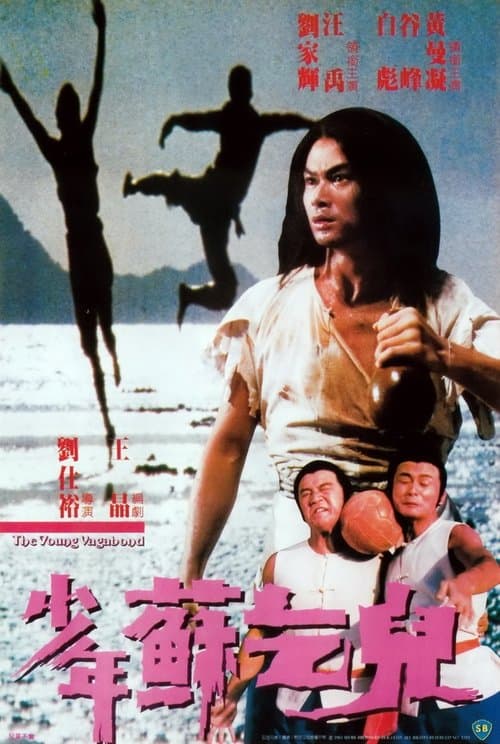 少年蘇乞兒のポスター