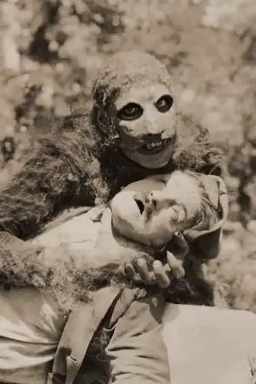 Unknown Treasuresのポスター