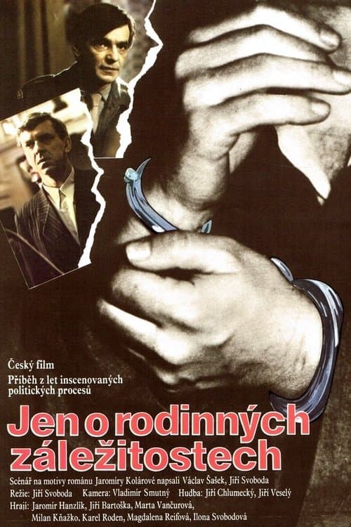 Jen o rodinných záležitostechのポスター