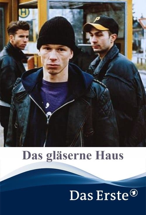 Das gläserne Hausのポスター