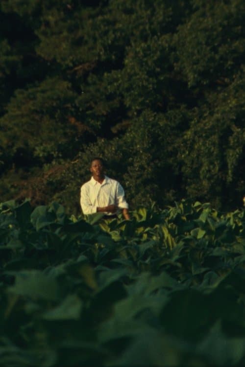 JESUS IS COMING (to take the Church away)のポスター