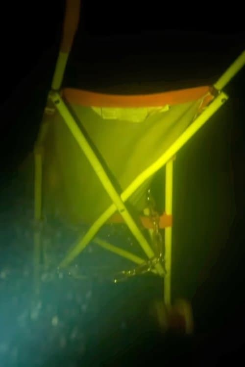 One Last Diveのポスター