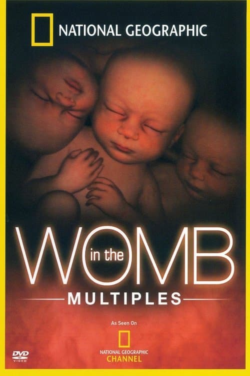 In the Womb: Multiplesのポスター