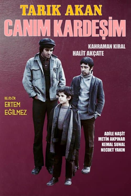 Canım Kardeşimのポスター