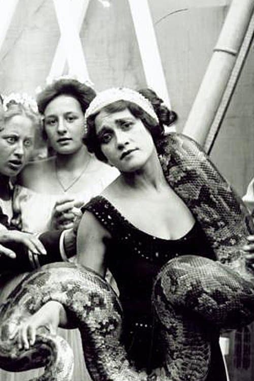 Mellum Storbyens Artisterのポスター