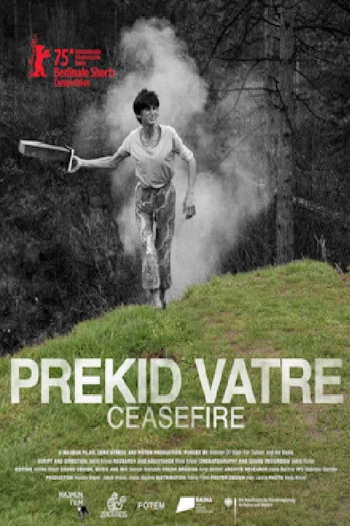 Prekid vatreのポスター