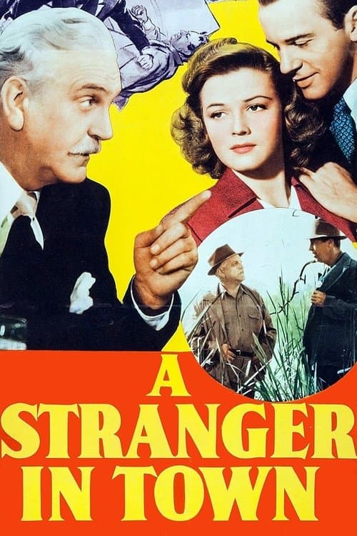 A Stranger in Townのポスター