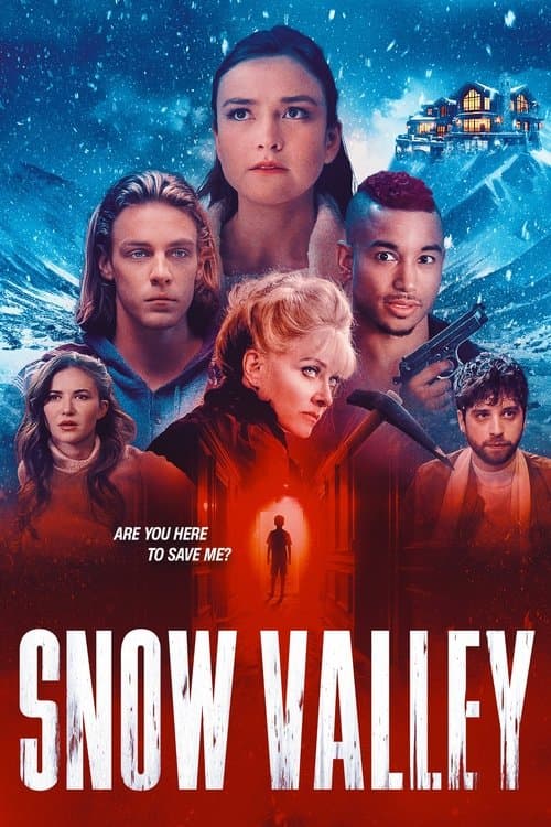 Snow Valleyのポスター