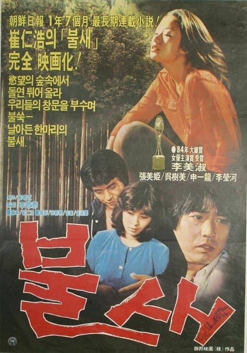 불새のポスター