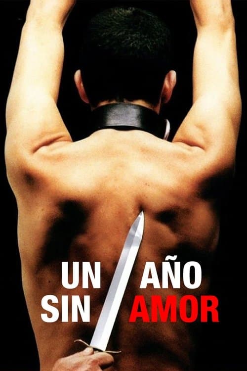 Un año sin amorのポスター