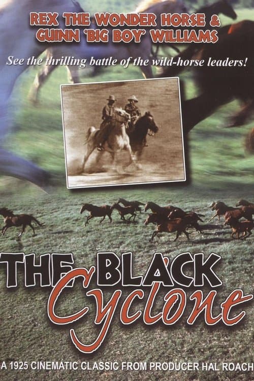 Black Cycloneのポスター