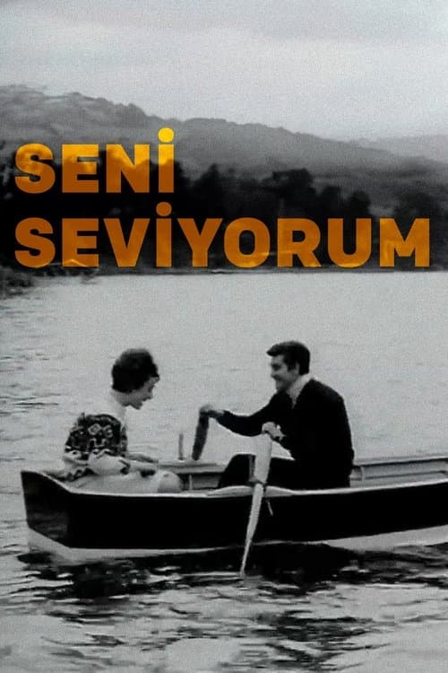 Seni Seviyorumのポスター
