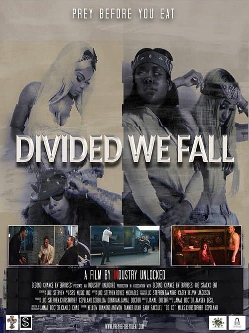 Divided We Fallのポスター