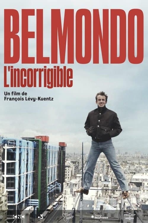 Belmondo l'incorrigibleのポスター