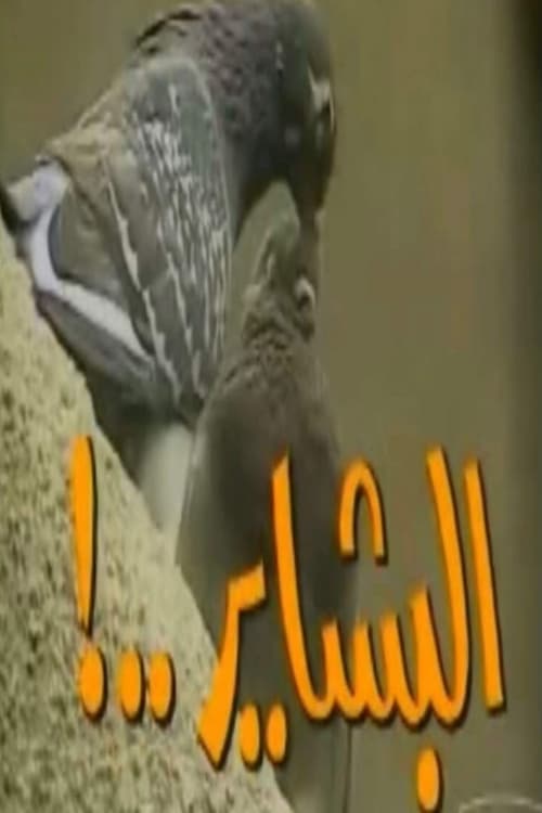 البشايرのポスター