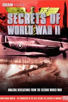 Secrets of World War IIのポスター