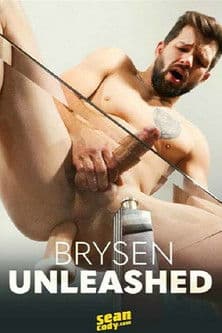 Brysen Unleashedのポスター