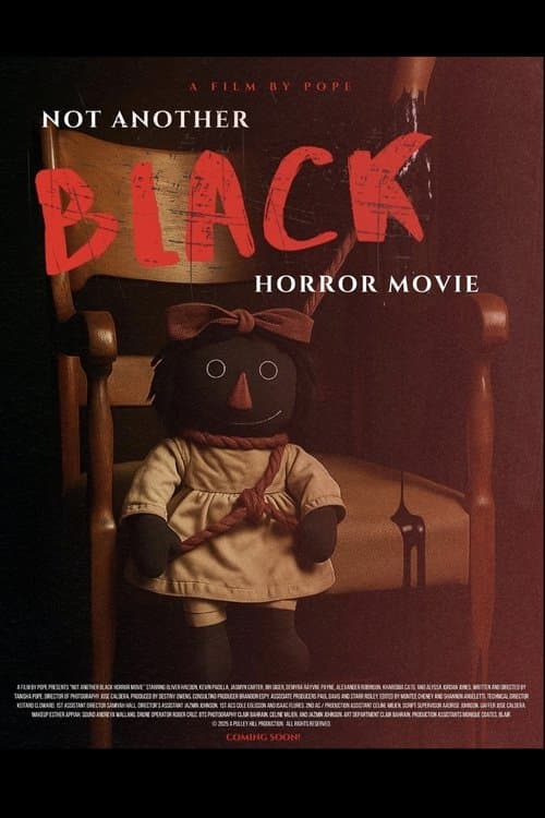 Not Another Black Horror Movieのポスター