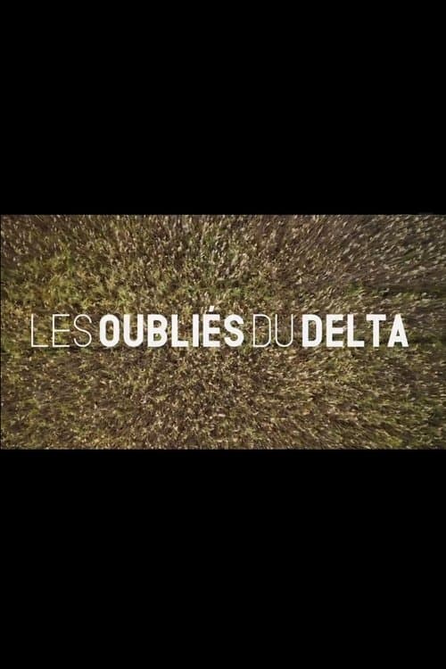 Les oubliés du Deltaのポスター
