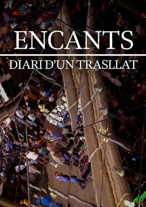 Encants, diari d'un trasllatのポスター