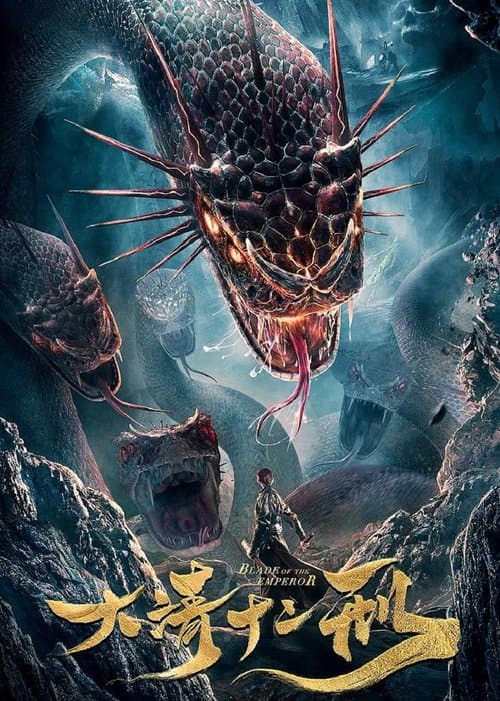 大清十二刑のポスター