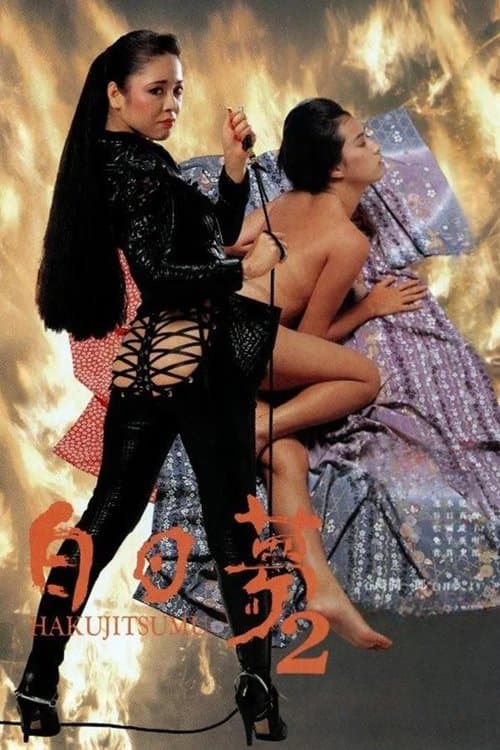 白日夢2のポスター