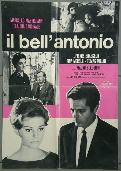 Il bell'Antonioのポスター