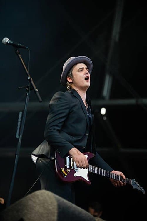 Babyshambles: Best Kept Secret Festivalのポスター