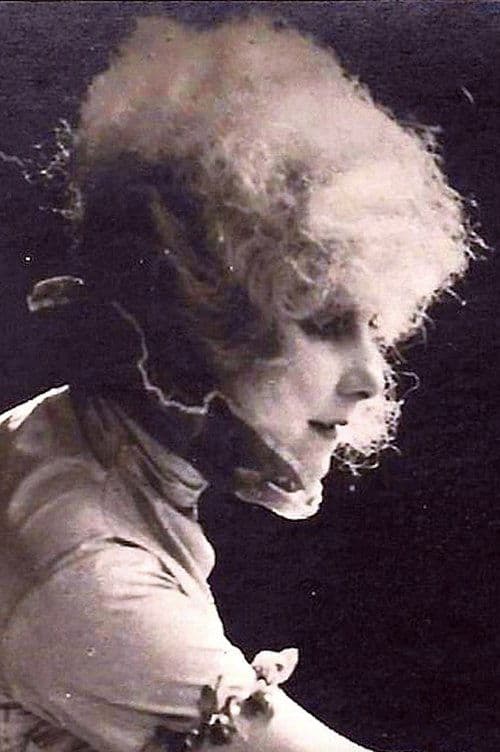 Lo scaldinoのポスター