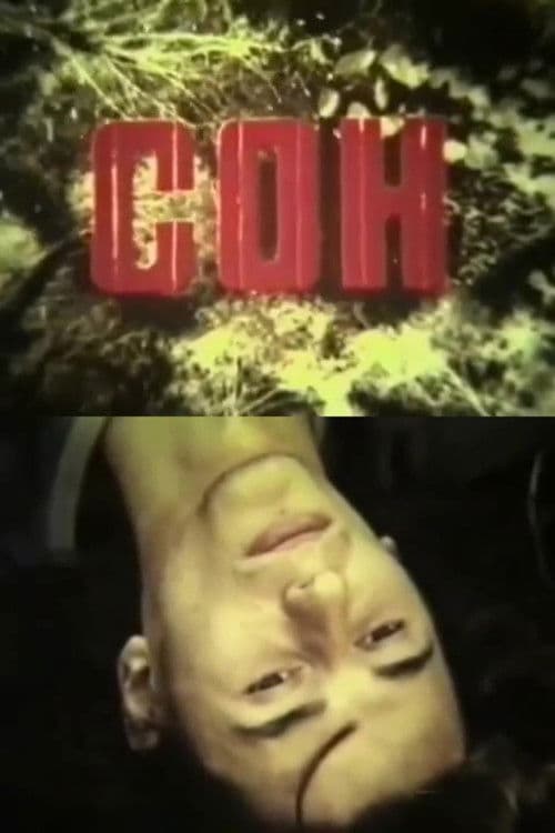 Сонのポスター