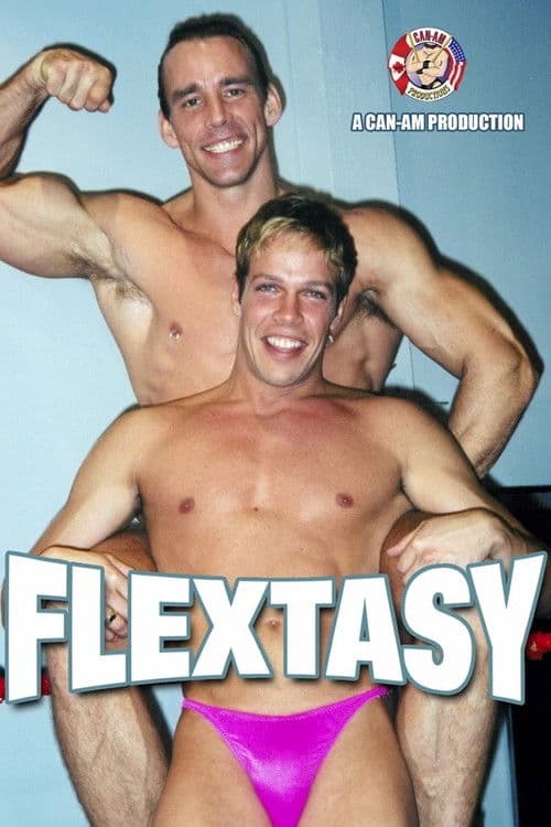 FLEXTASYのポスター