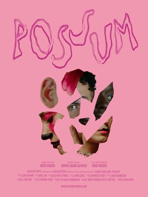 POSSUMのポスター
