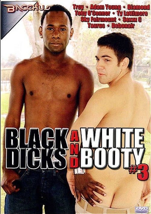 Black Dicks and White Booty 3のポスター