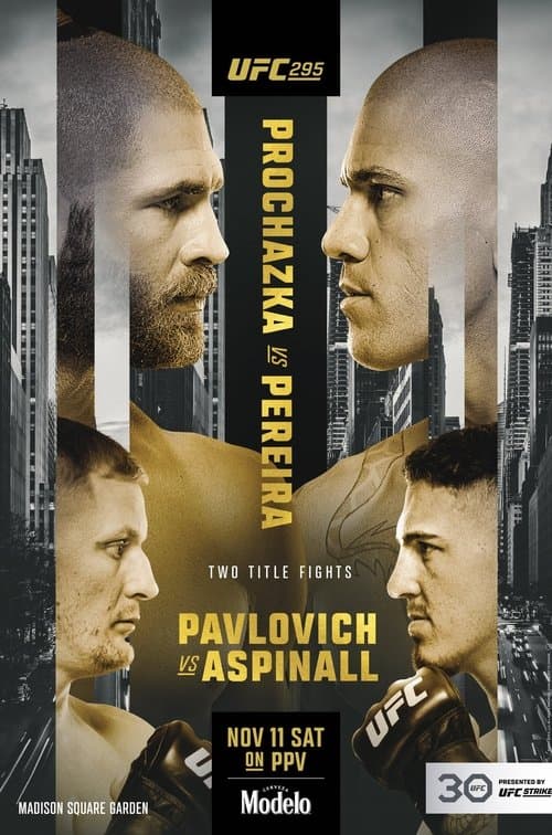 UFC 295: Prochazka vs. Pereiraのポスター