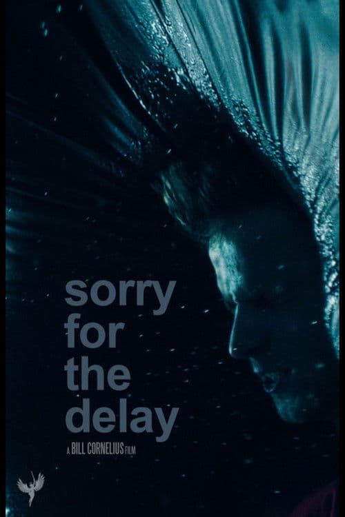 Sorry for the Delayのポスター