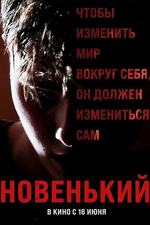 Новенькийのポスター