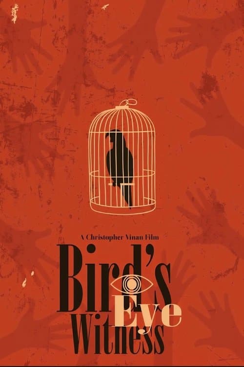 Bird's Eye Witnessのポスター