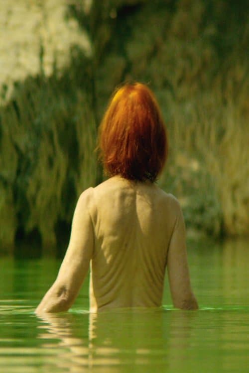 Tempus Fugitのポスター